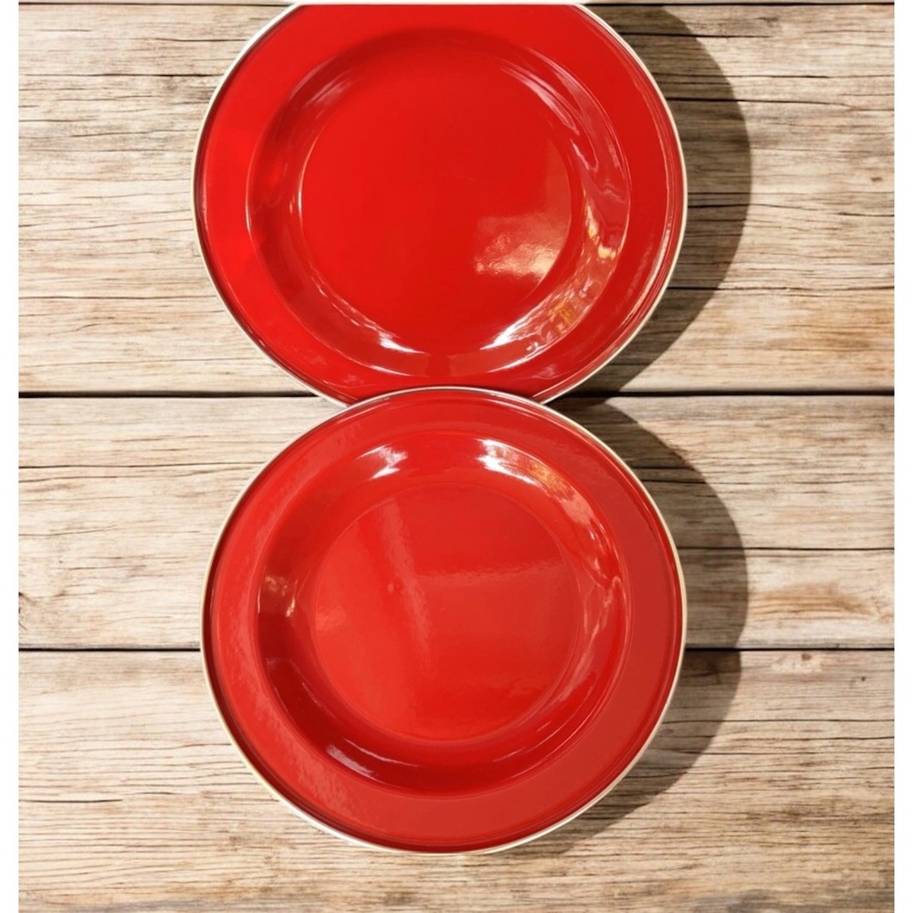 Discontinued Pottery Barn Enamelware Plates Red 10" Set of 2 Metal Partyware NOS